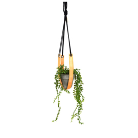 Plantenhanger