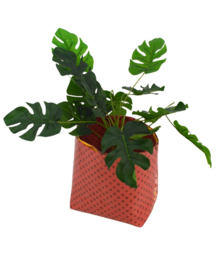 Bloempot Ø 18 cm - Vierdaagsefeesten