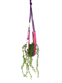 Plantenhanger