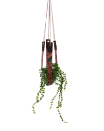 Plantenhanger - Matrixx
