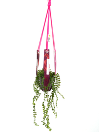 Plantenhanger