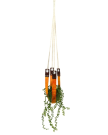 Plantenhanger - Matrixx