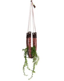 Plantenhanger - Matrixx