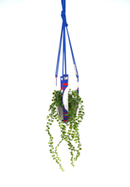 Plantenhanger