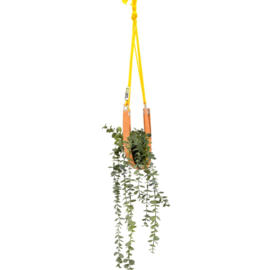 Plantenhanger