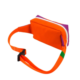 Fannypack / heuptas