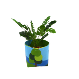 Bloempot Ø 18 cm. - Oranjepop