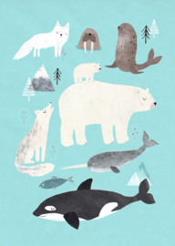 Poster Artic Animals 50 x 70 cm