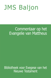 Exegese van het Nieuwe Testament - J.M.S. Baljon