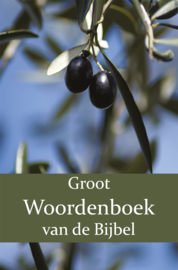 Groot Woordenboek van de Bijbel A-H - Eerste Deel - W. Moll; P.J. Veth; F.J. Domela Nieuwenhuis