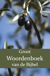 Groot Woordenboek van de Bijbel I-N - Tweede Deel - W. Moll; P.J. Veth; F.J. Domela Nieuwenhuis