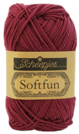 Scheepjes Softfun 2534