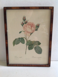 Wanddecoratie. Serie van 3.
