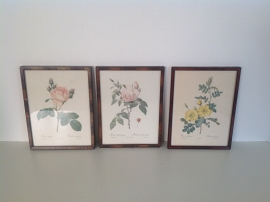 Decoratie. Set van 3 lijsten met rozen.