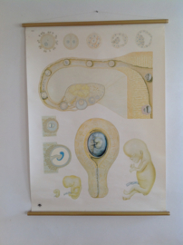 Nieuw binnengekomen  / New in webshop