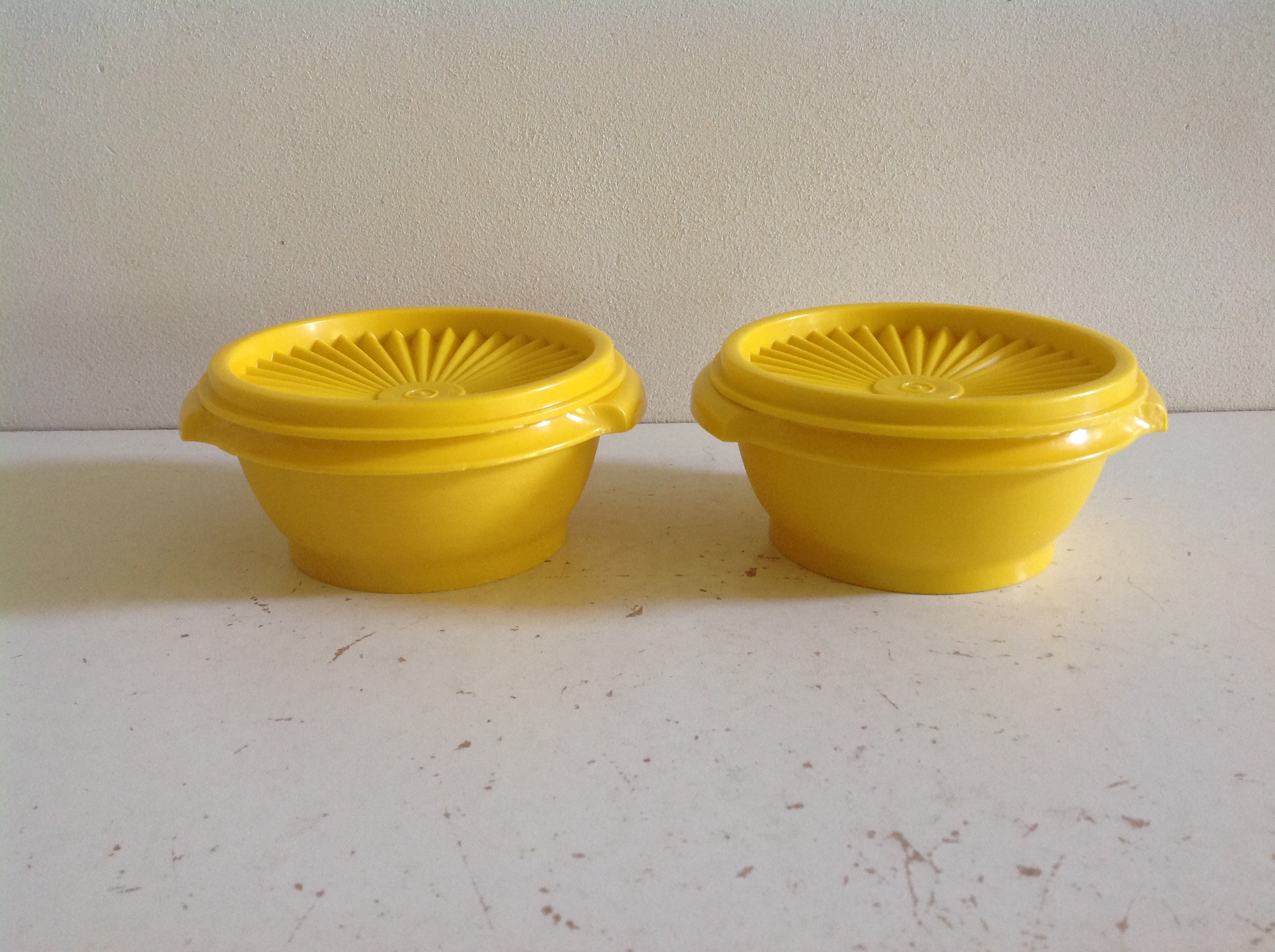 Tupperware bakje.