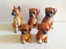 Decoratie Hond.