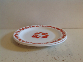 Arcopal. Diner bord. Lotus.