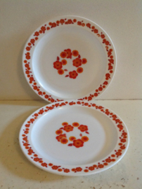 Arcopal. Diner bord. Lotus.