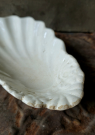 Frans schaaltje schelp/ironstone shell
