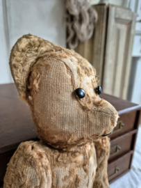 Oud beertje/Old Teddy