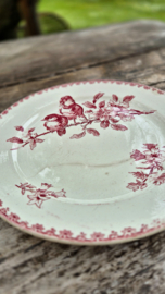 Bord roze met vogel dessin/French bird plate