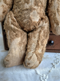 Oud beertje/Old Teddy