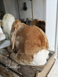 Oud konijntje /old stuffed bunny