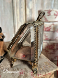 Horlogekastje/ watch glass box