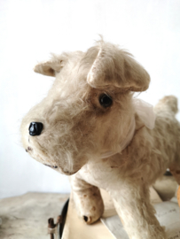 Steiff hond /old French Steiff dog