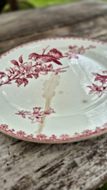 Bordje rood vogel/plate red bird Favori