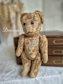 Oud beertje/Old Teddy