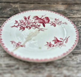 Bordje rood vogel/plate red bird Favori