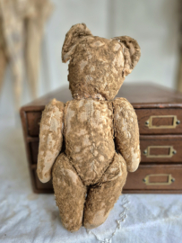 Oud beertje/Old Teddy