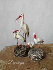 Ooievaar setje /storks