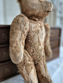Oud beertje/Old Teddy
