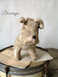 Steiff hond /old French Steiff dog