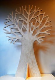 'Spenenboom' of themaboom