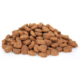 Premium kat Large XL 10kg