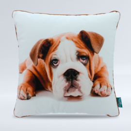 Intimo bulldog kussen