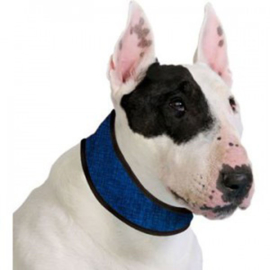 Aqua Coolkeeper Collar Pacific blue S