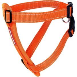 Ezydog borsttuig incl. autogordel 2XL oranje