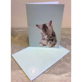 Studio Pets kaart kitten