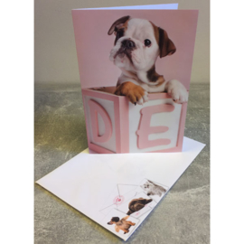 Studio Pets kaart puppy in blokkendoos