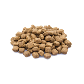Adult maxi 20kg
