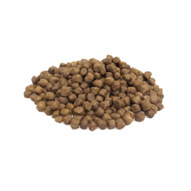 Super Premium adult mini lam/rijst 4kg