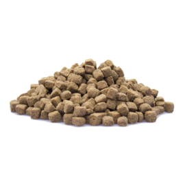 Adult Active 10kg