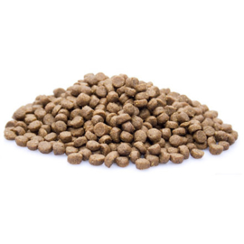 Premium kat Senior 10 kg