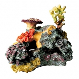 Design koraal rif