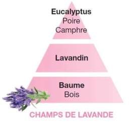 Lampe Berger Lavander Fields 500ml